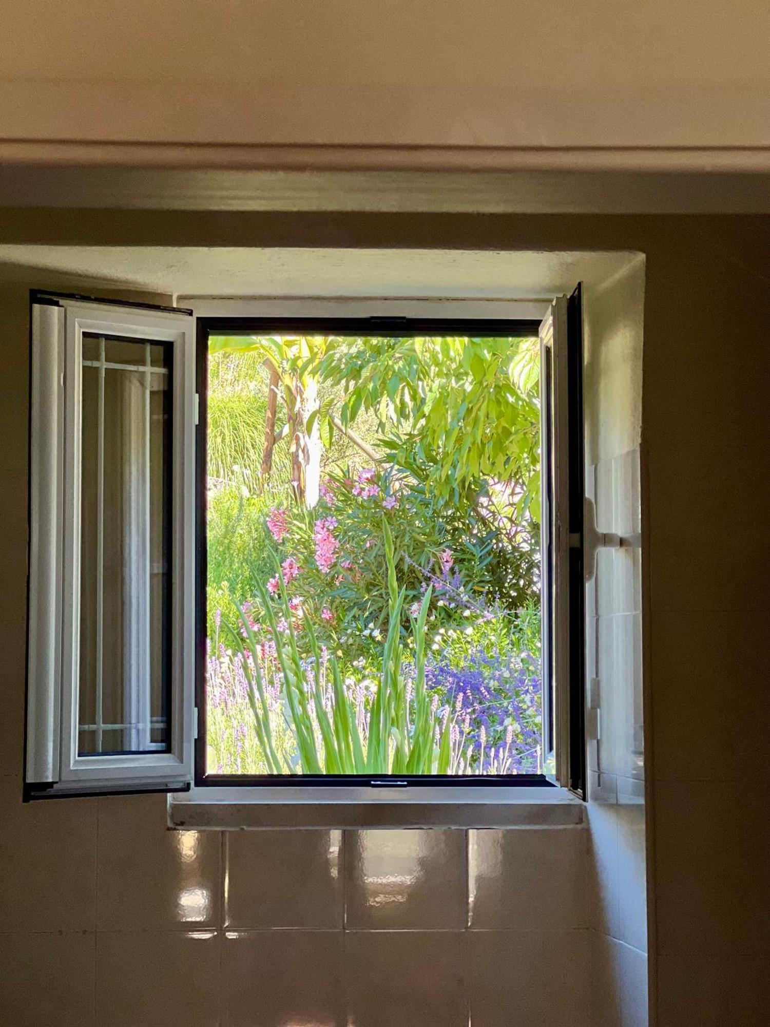 Manor Meeder Villa Castanheira de Pera Buitenkant foto